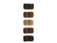 Tropical Quintet Ruto