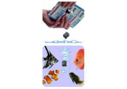 Discusfood excellent